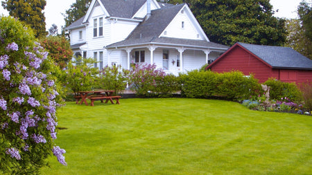 Woodie’s Picks: Deer & Rabbit Resistant Plants For The Early Spring Garden