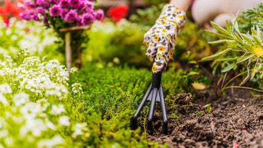 How Does Growing a Garden Help the Environment?