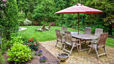 Sprucing Up Your Backyard With Plants for Summer Entertaining