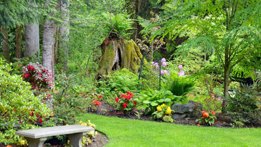 Woodie’s Picks: Understory Shade Plants For Texture and Interest in The Late Summer Garden