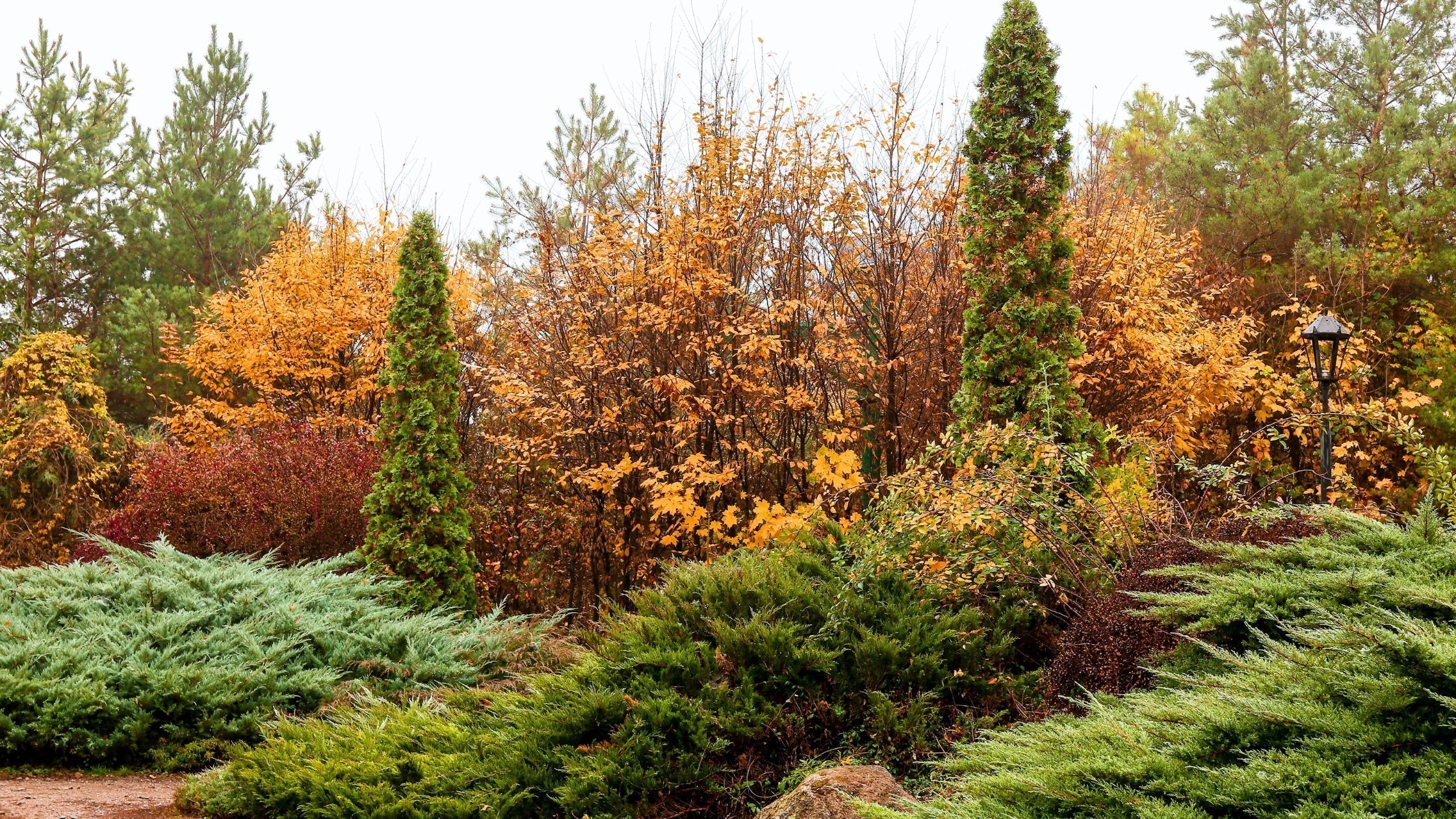 blog_header_-_2025-09-