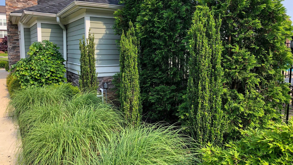 blog_header_21_1024x1024.jpg?v