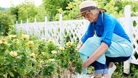 Growing A Cut-Flower Garden In Spring 