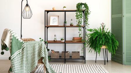 6 Houseplant Design Tips To Transform a Space