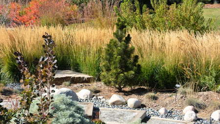 7 Tips For Planting An Eco-Conscious Garden