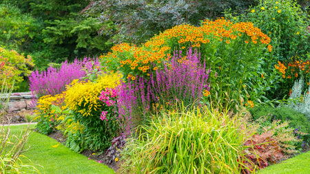 Woodie's Favorite Mid-Spring Flowering Shrubs