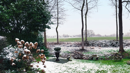 Top 6 Tips For Winterizing Your Landscape
