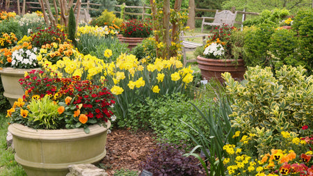 Fall Container Gardening: Bringing Beauty to the Season