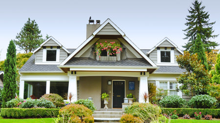 The Fastest-Growing Trees, Shrubs, & Perennials for a Thriving Landscape