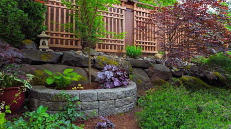 Crafting The Perfect Shade Garden