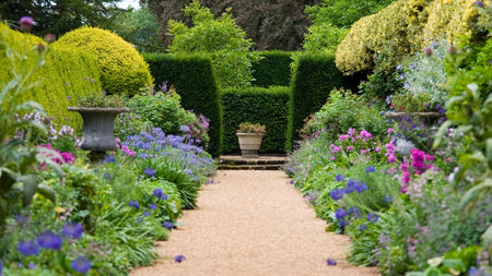 Using Color Theory to Design a Beautiful Landscape