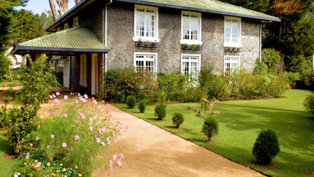 Woodie's Picks For A Whimsical Landscape Design