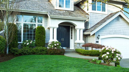 Top 10 Plant Staples For Your Landscape