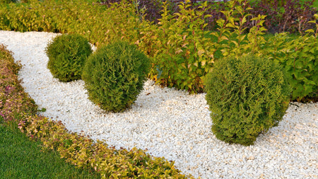 Everything You Need To Know About Xeriscaping