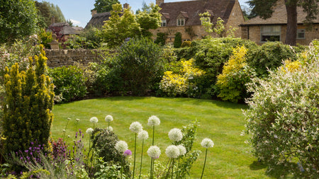 Enhancing Your Landscape with Evergreen Foundation Plants