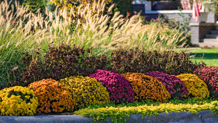 The Benefits of Gardening in the Fall