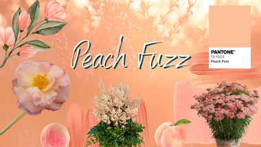 2024 Pantone Color Of The Year In Your Garden