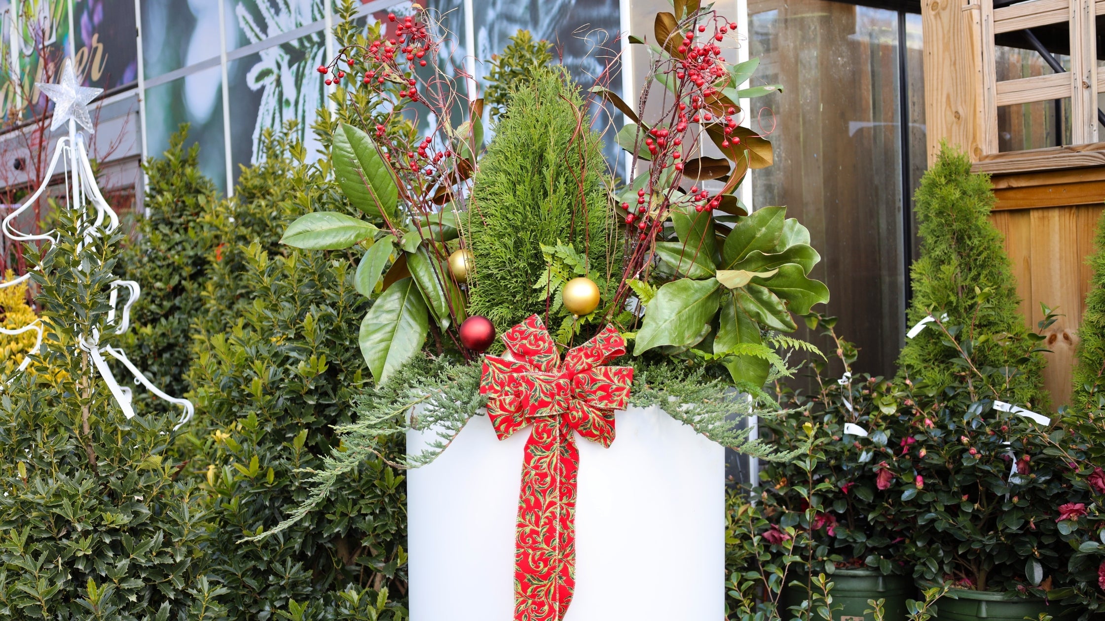 Woodie's Picks: Four Essentials For A Modern Winter Porch Pot