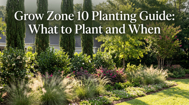Grow Zone 10 Planting Guide: What to Plant and When