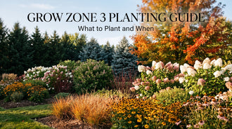 Grow Zone 3 Planting Guide: What to Plant and When
