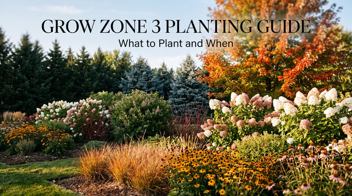 Grow Zone 3 Planting Guide: What to Plant and When