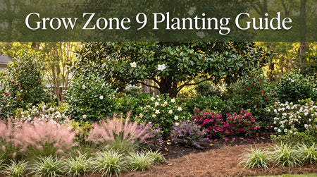 Grow Zone 9 Planting Guide: What to Plant and When