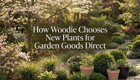 How Woodie Chooses New Plants for Garden Goods Direct