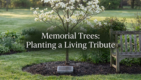 Memorial Trees: Planting a Living Tribute