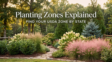 Planting Zones Explained: Find Your USDA Zone by State