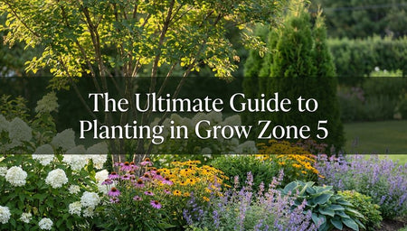 The Ultimate Guide to Planting in Grow Zone 5