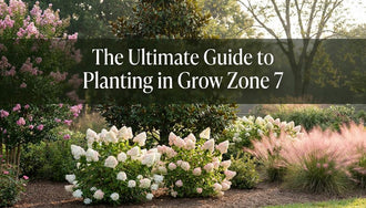 The Ultimate Guide to Planting in Grow Zone 7