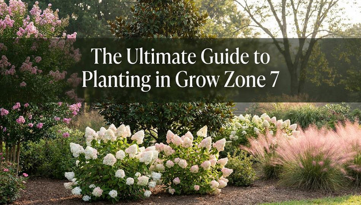 The Ultimate Guide to Planting in Grow Zone 7