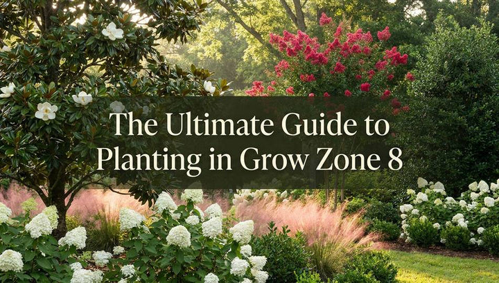The Ultimate Guide to Planting in Grow Zone 8