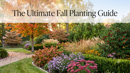 The Ultimate Fall Planting Guide