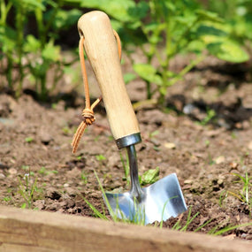 Lawn & Garden
