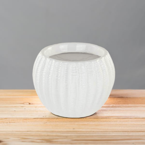 Planters & Pottery