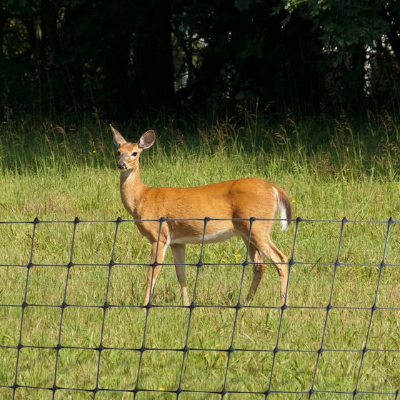 plastic netting to protect property from deer and burd damage