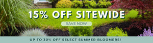 15 percent off sitewide plus up to 30 percent off our summer favorites