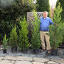 Woodie pictured with all of our Leyland cypress height variants