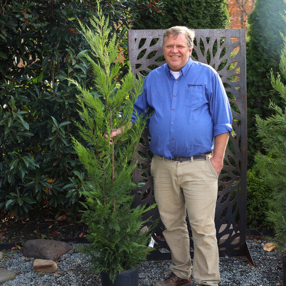 woodie with our 4-5 ft tall leyland cypress in a nursery pot