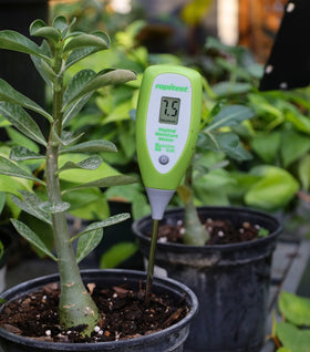 Rapitest Digital Moisture Meter