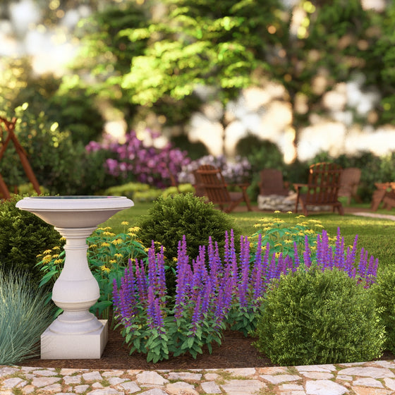 Bird Bath Garden