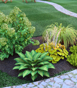 Plant By Number Narrow Privacy Garden | Garden Goods Direct