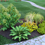 Medium Accent Garden