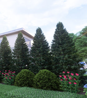 Narrow Privacy Garden