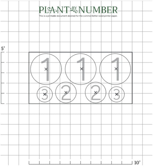 landscaping layout for narrow privacy screen