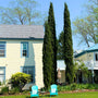 Two tall Italian Cypress trees (Cupressus sempervirens) are prominently featured, standing in front of a house with a pale exterior. The trees are lush with dark green foliage, and there are two light blue Adirondack chairs in the foreground on the lawn.