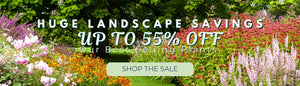 HUGE LANDSCAPE SAVINGS: UP TO 55% OFF OUR BEST SELLING PLANTS