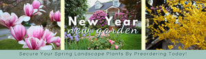 New Year, New Garden: Spring Preorder Now Open: Save Now & Select a Ship Date For Spring 2025