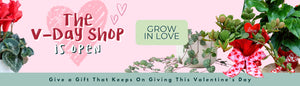 The V-Day Shop Is Open: Give a Gift That Keeps on Giving